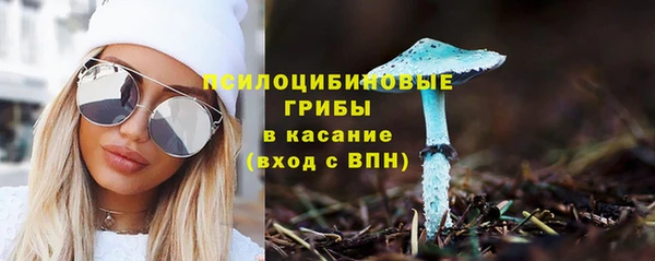 метадон Вяземский
